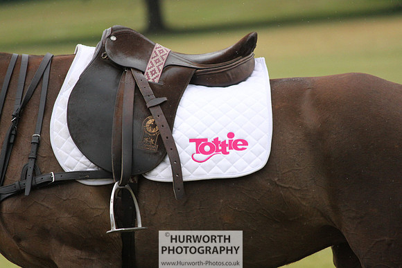 Toulston Polo 199