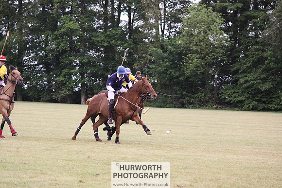Toulston Polo 209
