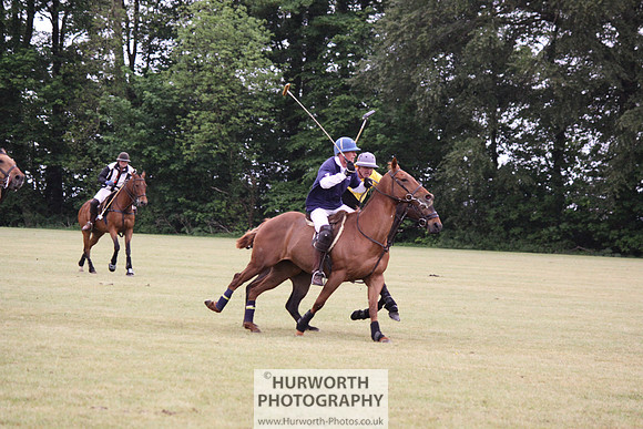 Toulston Polo 210