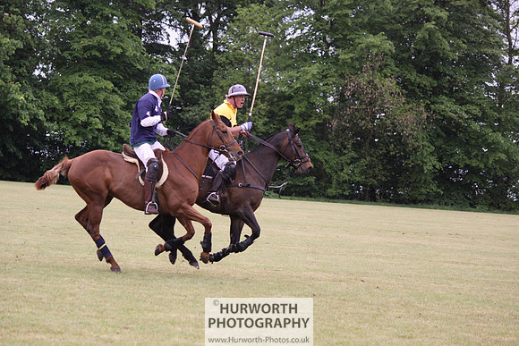 Toulston Polo 212