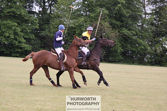 Toulston Polo 213