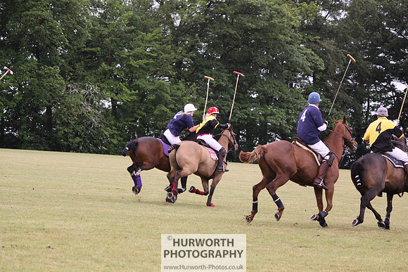 Toulston Polo 215