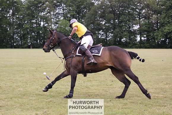 Toulston Polo 216