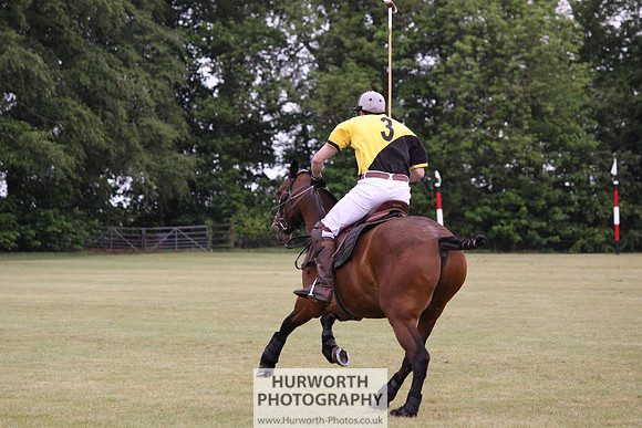 Toulston Polo 217