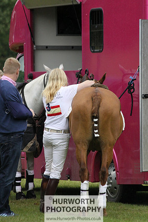 Toulston Polo 219