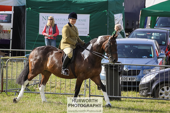 2015 Ossy Show -1