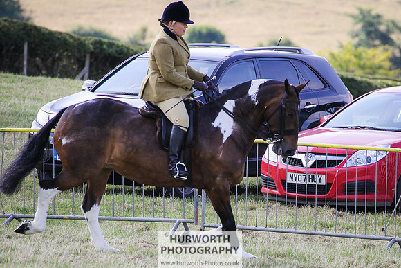 2015 Ossy Show -3