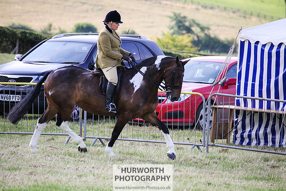 2015 Ossy Show -4