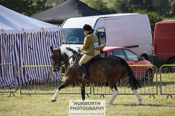 2015 Ossy Show -5