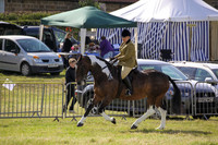 2015 Ossy Show -6