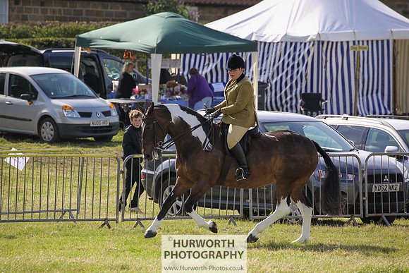 2015 Ossy Show -6