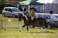2015 Ossy Show -7