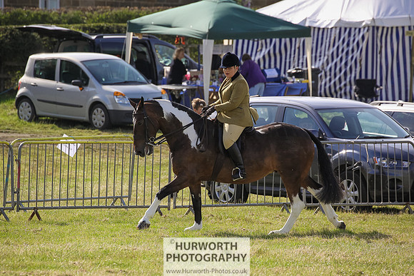 2015 Ossy Show -7