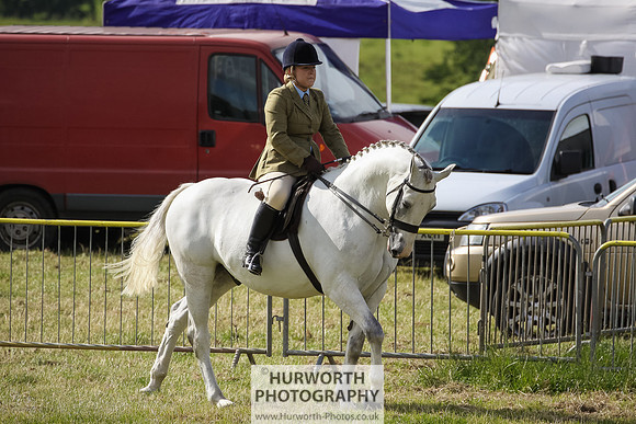 2015 Ossy Show -10