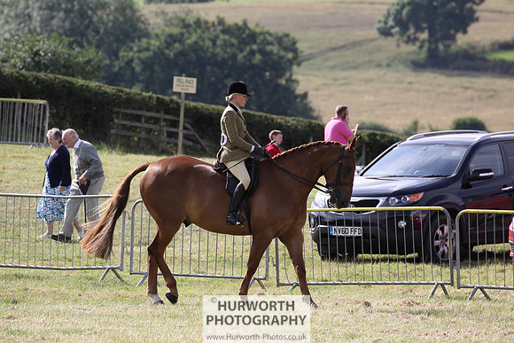 2015 Ossy Show -11