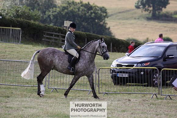2015 Ossy Show -12