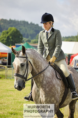 2015 Ossy Show -16