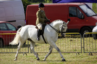 2015 Ossy Show -18