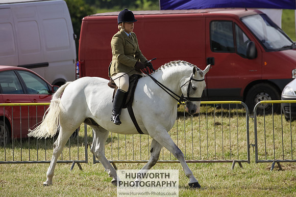 2015 Ossy Show -18