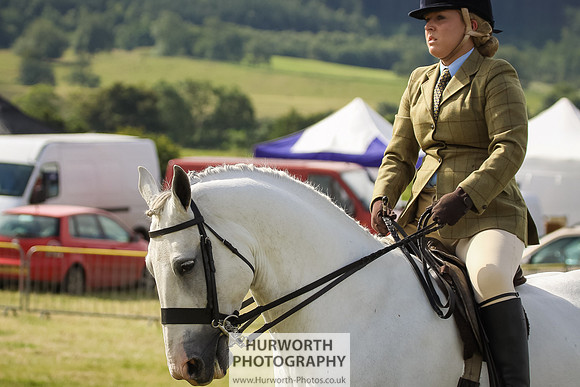 2015 Ossy Show -20