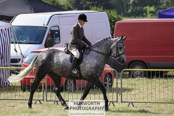 2015 Ossy Show -21