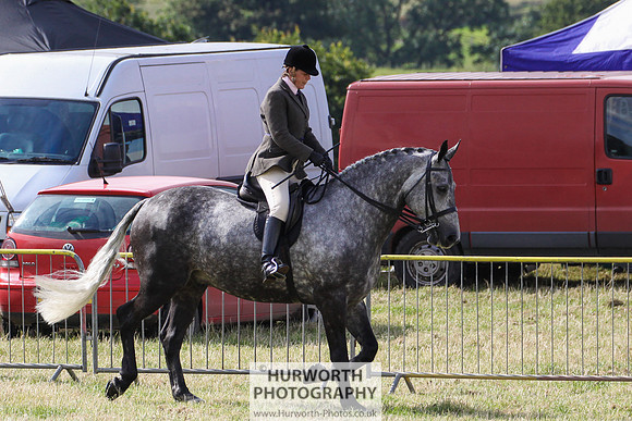 2015 Ossy Show -22