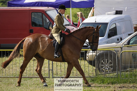 2015 Ossy Show -23