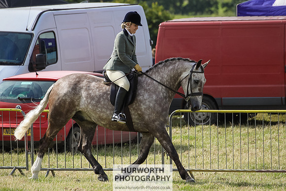 2015 Ossy Show -24