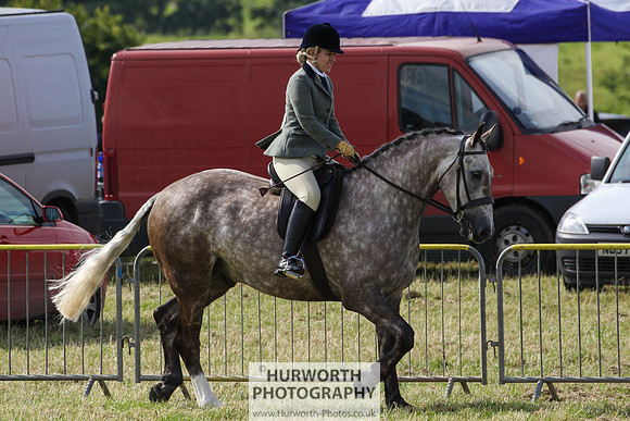 2015 Ossy Show -25