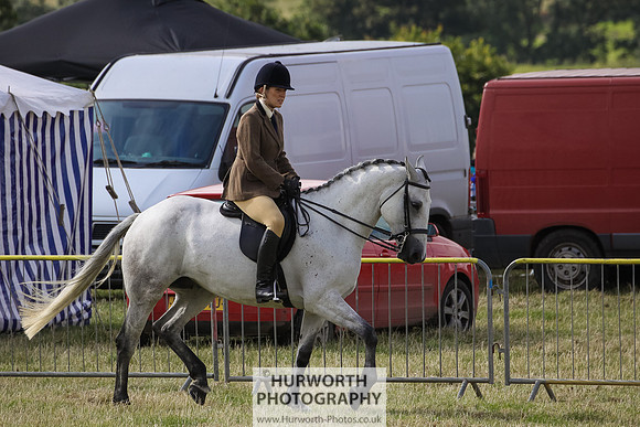 2015 Ossy Show -26