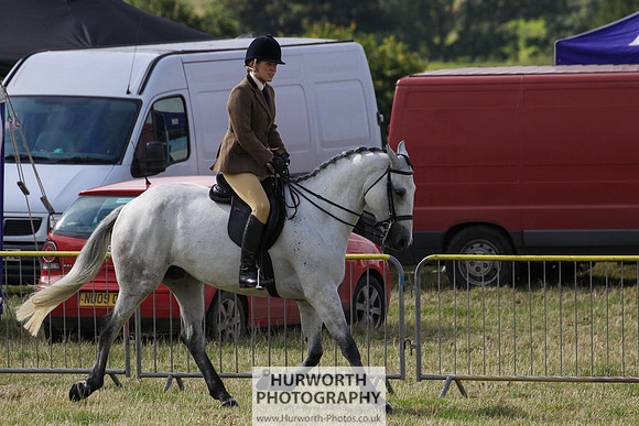 2015 Ossy Show -27