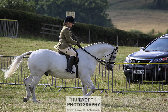 2015 Ossy Show -28