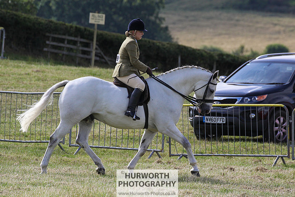 2015 Ossy Show -29