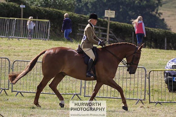 2015 Ossy Show -30