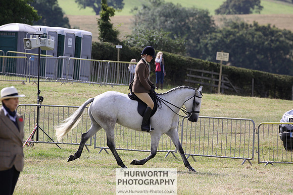 2015 Ossy Show -31
