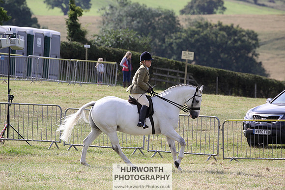 2015 Ossy Show -32
