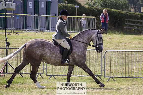 2015 Ossy Show -33