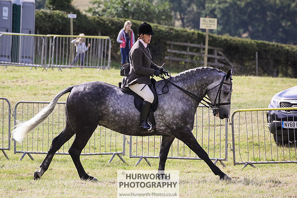 2015 Ossy Show -34