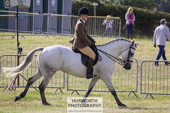 2015 Ossy Show -36