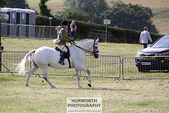 2015 Ossy Show -37