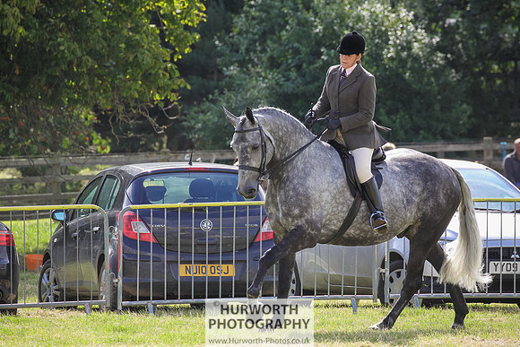 2015 Ossy Show -38