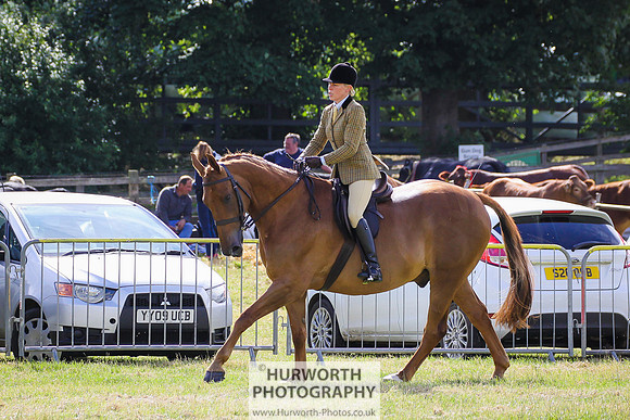 2015 Ossy Show -39