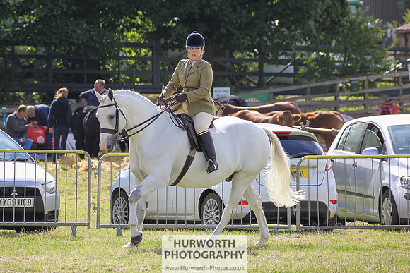 2015 Ossy Show -40