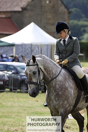 2015 Ossy Show -43