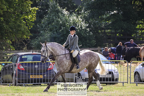 2015 Ossy Show -41