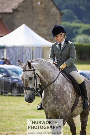 2015 Ossy Show -42