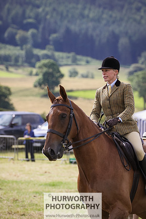 2015 Ossy Show -49