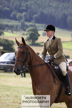 2015 Ossy Show -50
