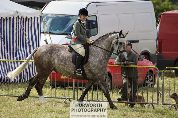 2015 Ossy Show -51