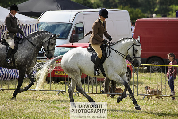 2015 Ossy Show -53